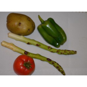 Realistic Veggies Real Life Like Fake Faux Artificial Prop Play Kitchen Food Lot   253797717550